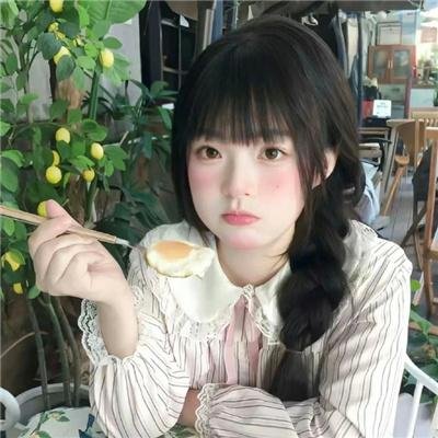 不可思议猫森林